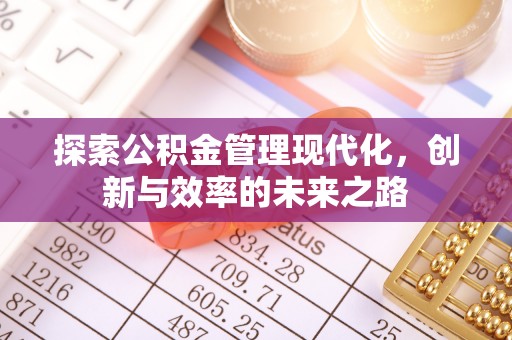 墨竹工卡探索公积金管理现代化，创新与效率的未来之路