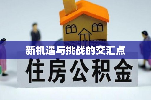 墨竹工卡新机遇与挑战的交汇点
