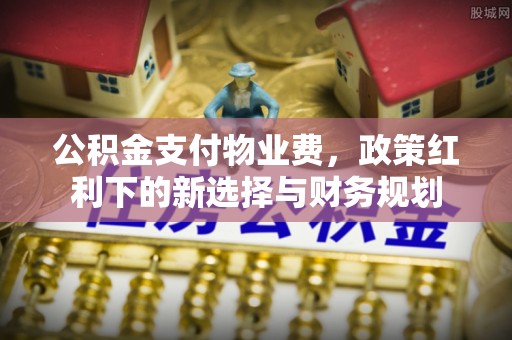 墨竹工卡公积金支付物业费，政策红利下的新选择与财务规划